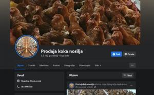 SDA Konjic preko noći misteriozno postao "Prodaja koka nosilja"