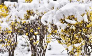 Nedim Sladić: "Snijeg sve izgledniji, ali, prije toga..."