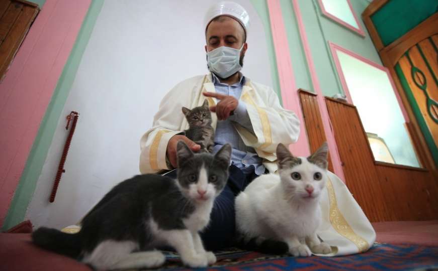 Efendija iz Turske otvorio vrata džamije mačkama: "Tako kaže i hadis Poslanika"