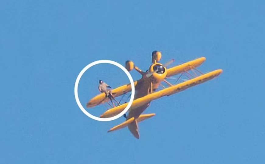 Nevjerovatan poduhvat: Tom Cruise u zraku "visio" na krilu aviona