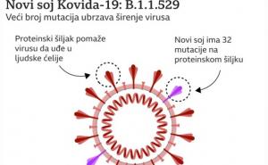 Panika u svijetu zbog omikrona: Japan zbog novog soja strancima zabranio ulazak