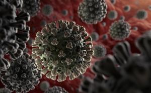 Omikron varijanta koronavirusa potvrđena u najmanje 23 države