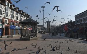 Horor uživo: Mrtve ptice padale s neba po automoblima, ljudima, pločniku...