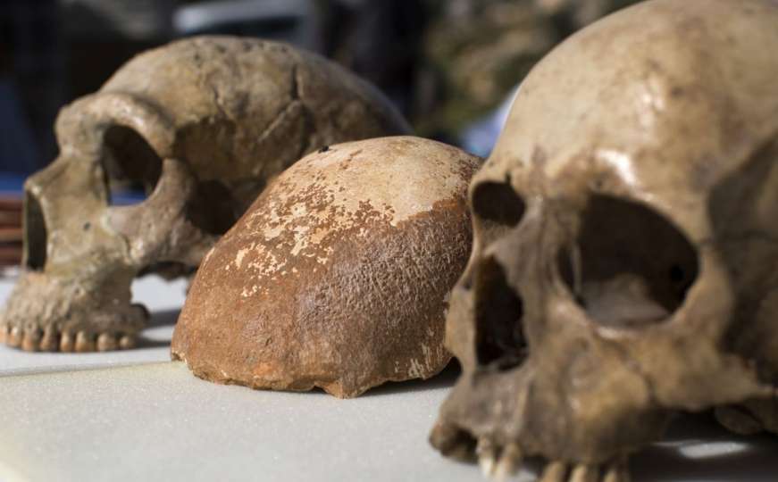 Čudesno otkriće u BiH: Pronađeno hiljade artefakata neandertalaca 