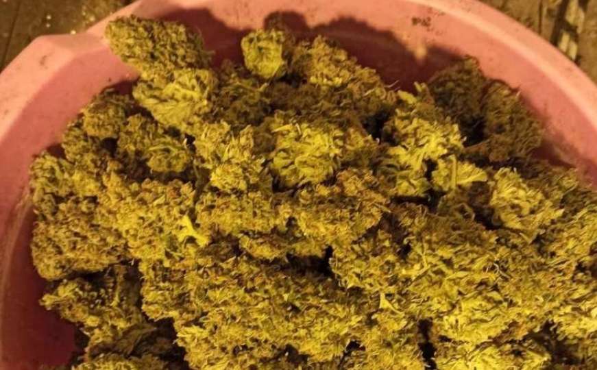 Sarajevska policija pronašla laboratoriju za proizvodnju marihuane