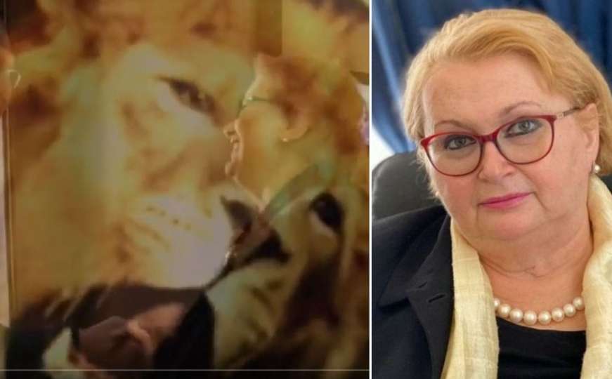 Da li ste vidjeli lava koji riče u videu ministrice Bisere Turković?