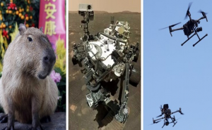 21 stvar koja je svijet učinila boljim u 2021. godini