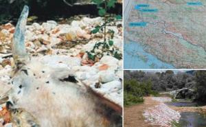 "Gornji horizonti": Hoće li se jug Hercegovine pretvoriti u pustinju?