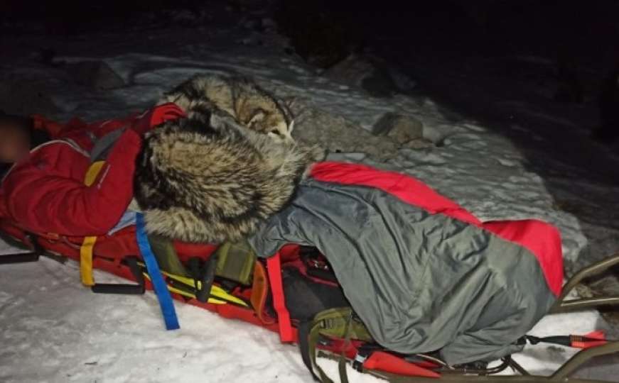 Detalji dramatičnog spašavanja na Velebitu: Pas tijelom grijao planinara...