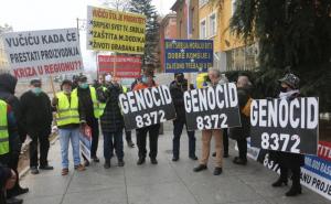 U 35 gradova širom svijeta danas protesti bh. građana