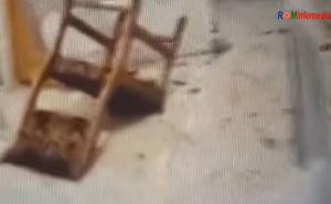 Policija jedva prekinula masovnu tuču na balu Roma