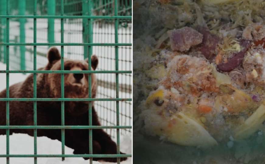 Apel: Medvjedi u Eko-Fis Vlašiću su zaslužili bolji tretman