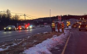 Nesvakidašnja nesreća: Kamion sa 100 majmuna imao udes, životinje pobjegle