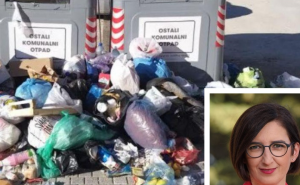 Prijavila je komšinicu jer je bacila kutije pored smeća - neki su joj zamjerili