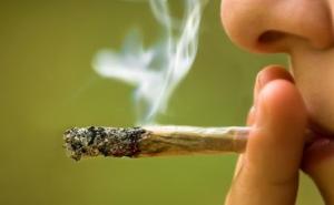 Evropljani u pandemiji koristili više kanabisa, pala potrošnja ekstazija