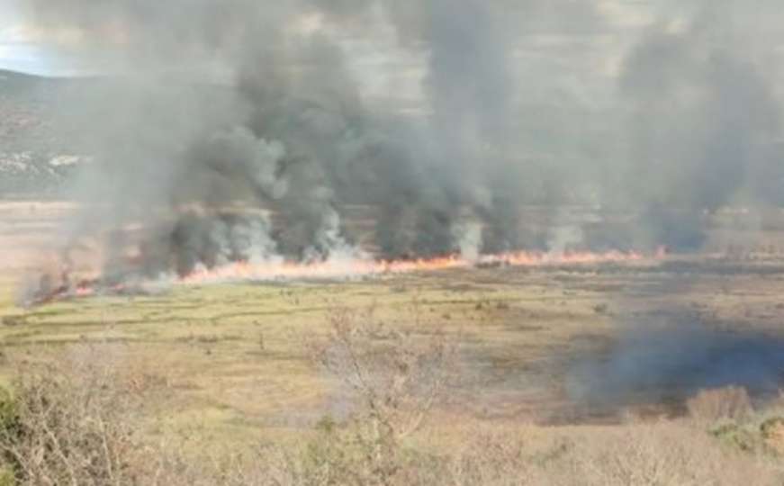 Požar zahvatio područje Parka prirode Hutovo blato