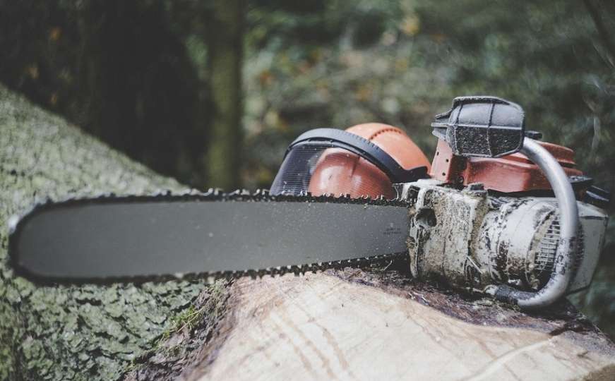 Stablo palo na drvosječu u BiH, preminuo uslijed teških povreda