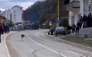 U Veterinarskoj stanici u Srebrenici “sređuju” papire za državljanstvo Srbije