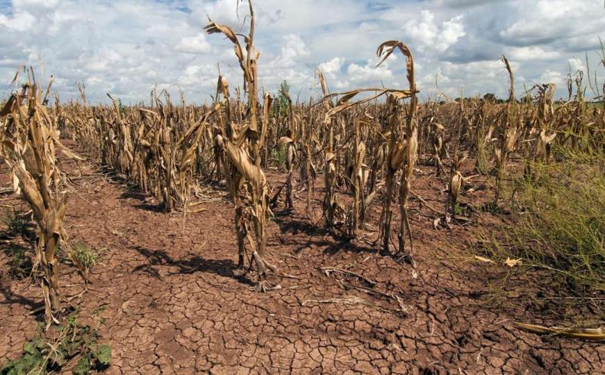 BiH se suočava s ekstremnom sušom: Trebamo biti spremni na sve 
