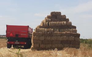 Vraća li se "u život" bh. poljoprivreda?