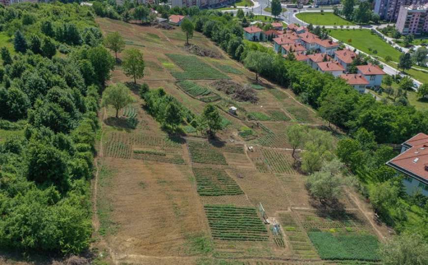 Sarajevska općina građanima nudi korištenje zemljišta za poljoprivredu