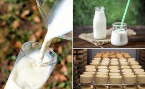 6 promjena u tijelu koje se dogode kada se iz prehrane izbace mliječni proizvodi