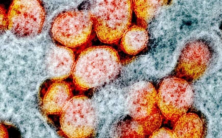 Naučnici potvrdili postojanje hibrida koronavirusa: Šta dosad znamo o deltakronu?