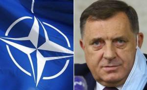 Poljski ambasador tvrdi: “Putin želi da Hrvatska i Poljska izađu iz NATO-a”
