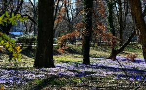 Na Bjelašnici jutros -6: Meteorolozi objavili i kakvo će vrijeme biti do ponedjeljka