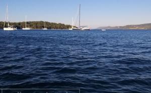 U Hrvatskoj nađen čudan morski pas, smatralo se da je gotovo izumro na Jadranu