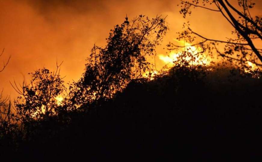 I dalje aktivni požari u dva bh. grada: Vatra zahvatila borovu šumu