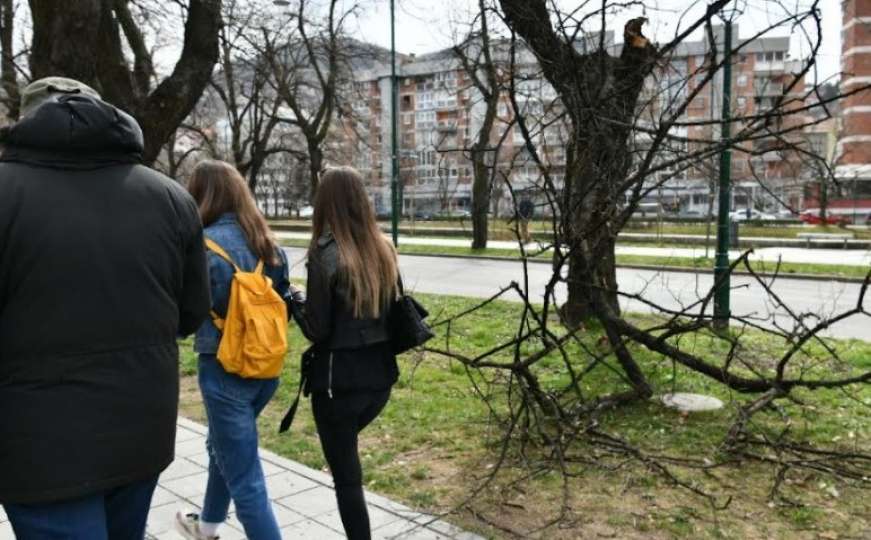  Izbjegnuta nesreća u Sarajevu: Pukao dio drveta na Vilsonovom šetalištu
