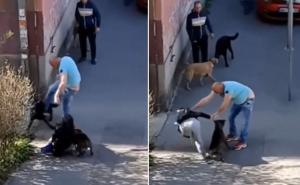 Uznemirujući video, navodno iz Beograda: Muškarac šutira psa i ženu