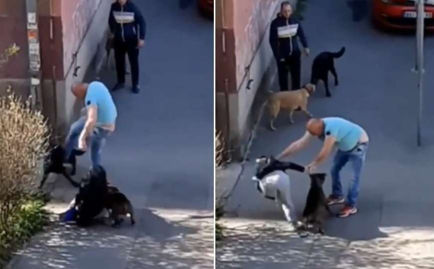 Uznemirujući video, navodno iz Beograda: Muškarac šutira psa i ženu