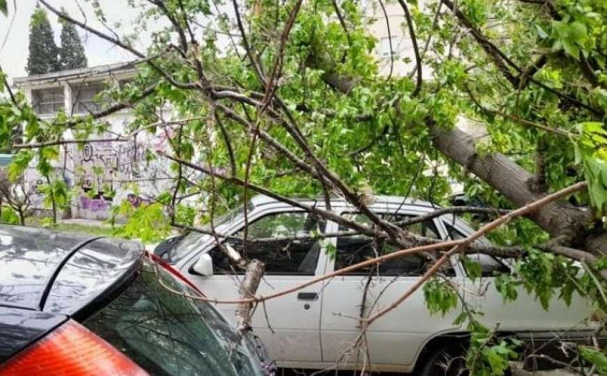 Vjetar srušio stablo na parkirana vozila u Mostaru