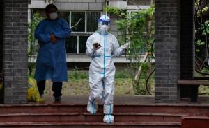 Kina prijavila prvi slučaj ptičje gripe H3N8 kod ljudi 