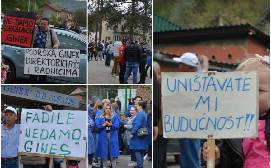 Radnici Ginexa obustavili proizvodnju, Mašić: Indolentan odnos izvršne vlasti 