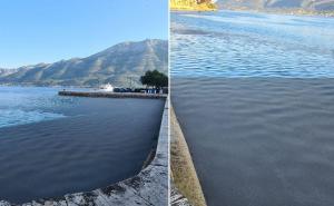 More u Dalmaciji promijenilo boju: Otrovne alge, mušice ili nafta?