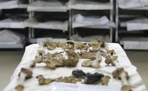 U Komemorativnom centru u Tuzli identifikovane četiri žrtve, među njima i blizanci 