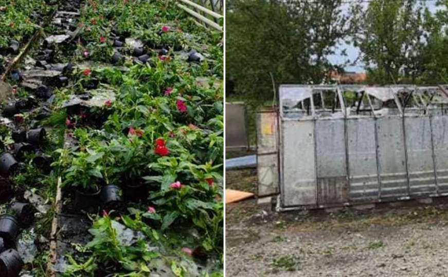 Grad uništio skoro pola hrvatske proizvodnje cvijeća 