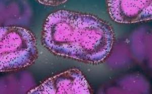 Država EU kupuje vakcinu protiv majmunskih boginja