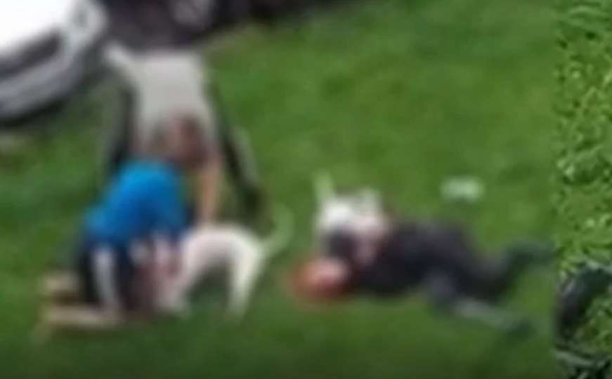 Horor u komšiluku: Bul terijeri napali i izgrizli ženu i njezinog psa 