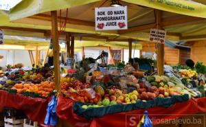 Bosanci obožavaju ovo povrće, a rijetko ko zna da nema ništa bolje za varenje