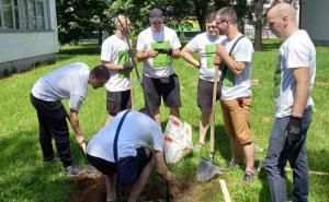 Svjetski dan zaštite okoliša obilježava se na četiri lokacije u BiH