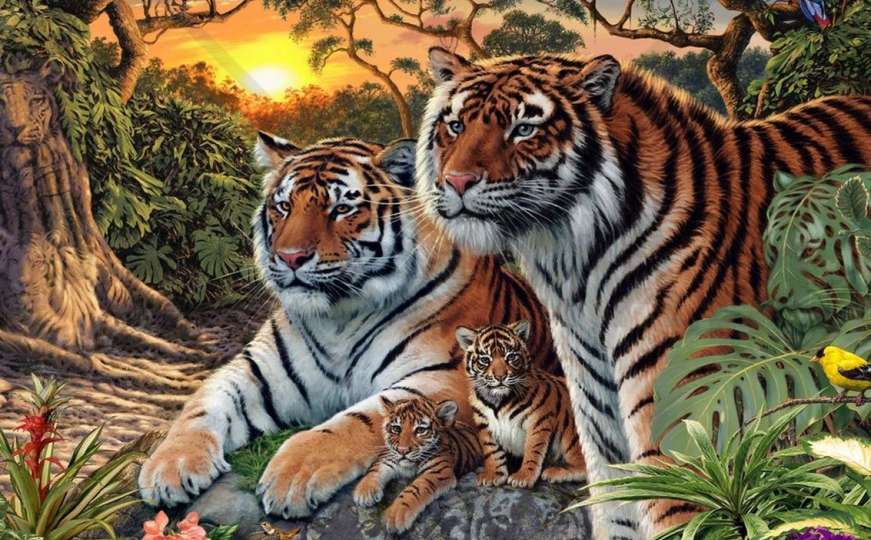 Ne, nisu samo četiri tigra na fotografiji - pronađite ostale! 