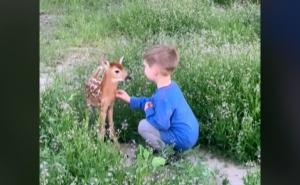 Video koji će vam izmamiti osmijeh: Pogledajte susret laneta i dječaka