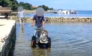 Čudan prizor u Hrvatskoj: Spašavali frezu iz mora pa nazdravili rakijom 