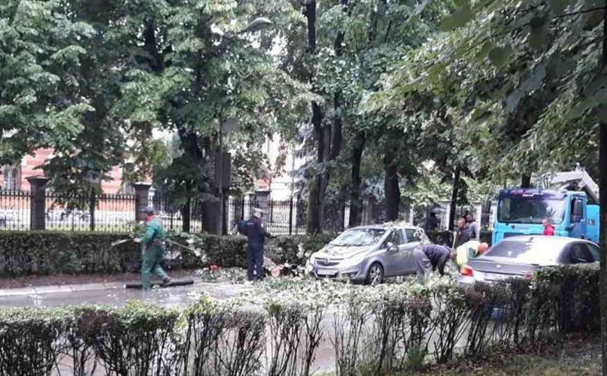 Drama u bh. gradu: Drvo palo na automobil u pokretu