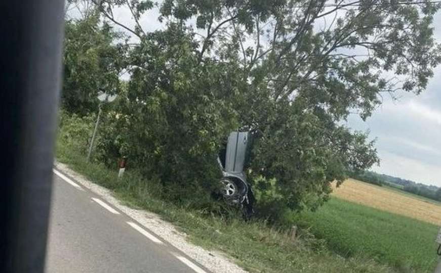 Bizarna nesreća, vozilo završilo u krošnji drveta: "Nisam mogao da vjerujem"