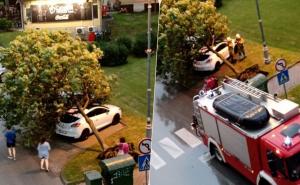 U Hrvatsku stiglo veliko nevrijeme: Vjetar doslovno čupao stabla